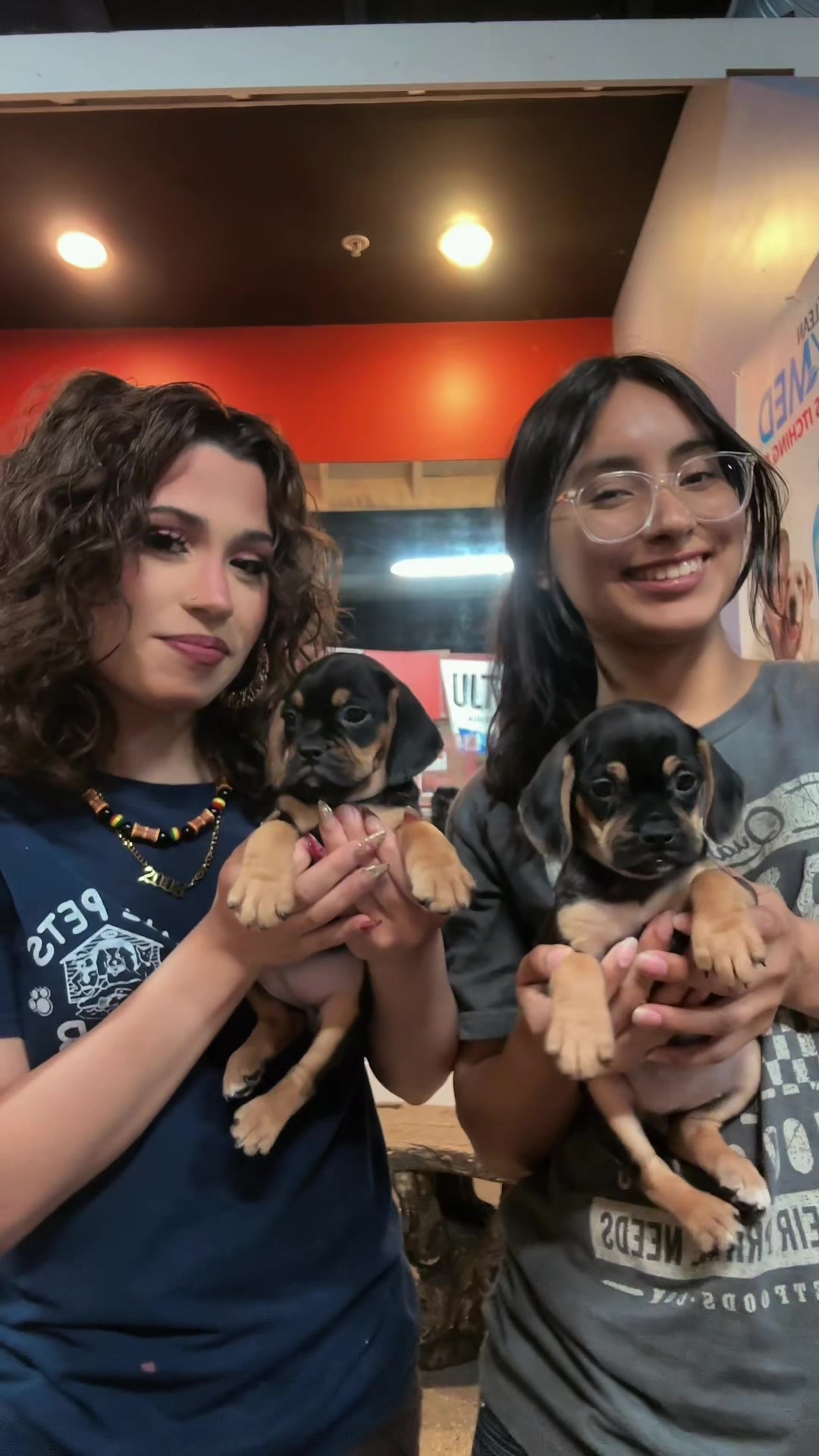 @All Pets Club