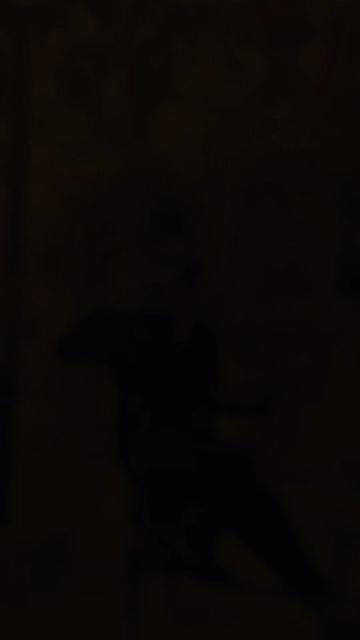 @༒𝐢𝐭𝐬.𝐌𝐞.𝐑𝐨𝐦𝐞𝐨༒