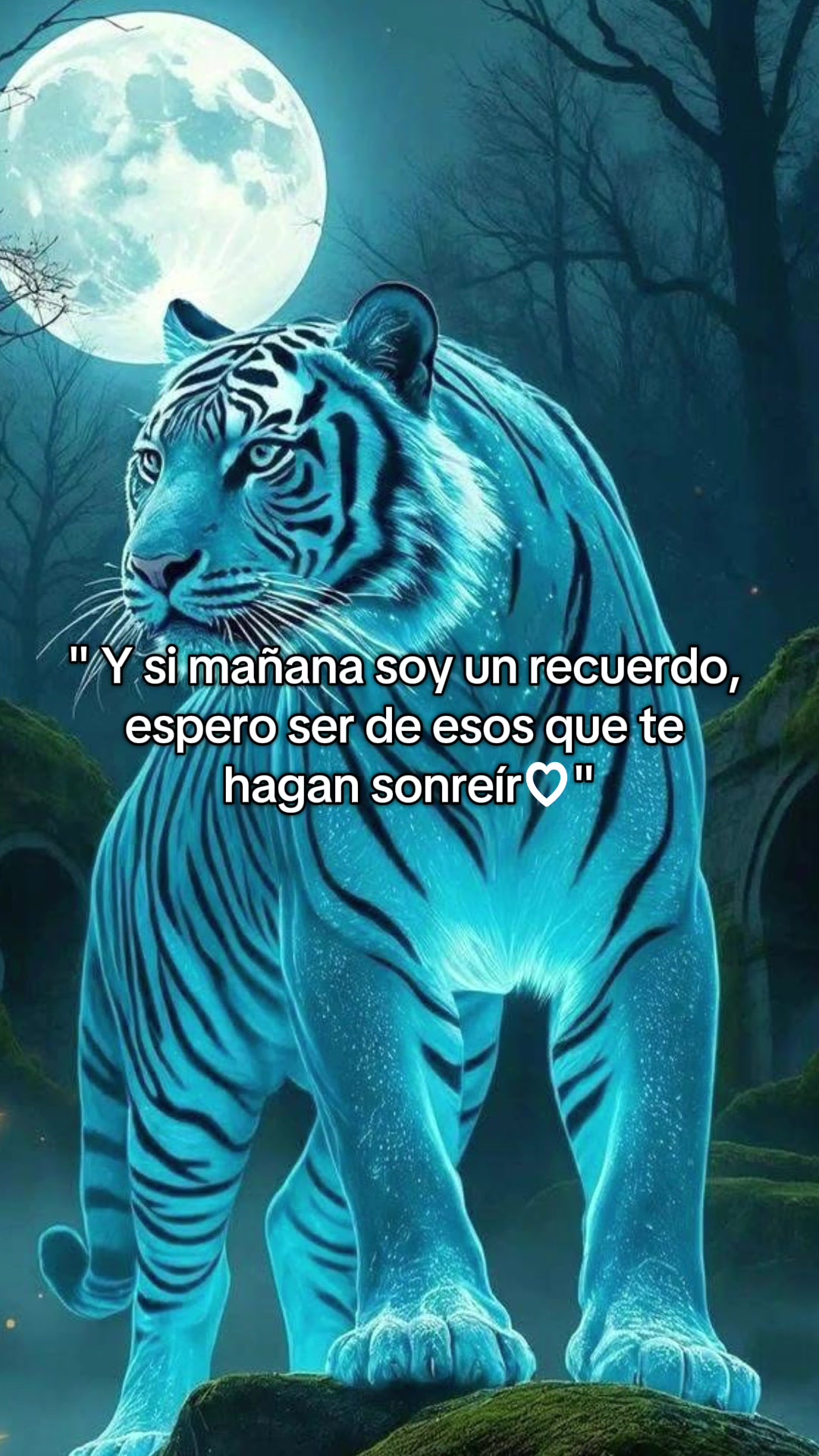 @🇬🇹 JOSE PATRON DE YAMI 🇲🇽
