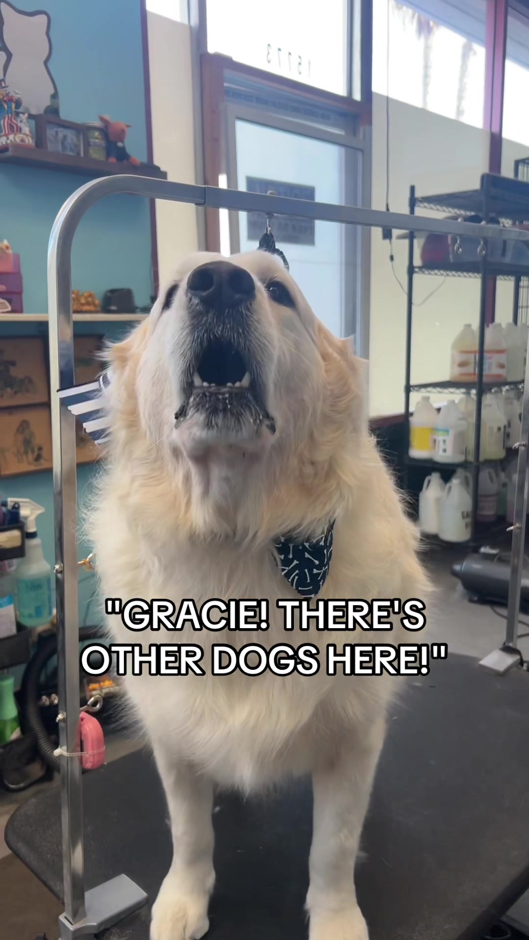 @gracie???