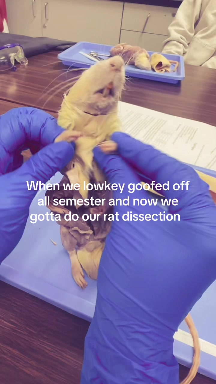@𝓜𝓪𝓻𝓲𝓪༄