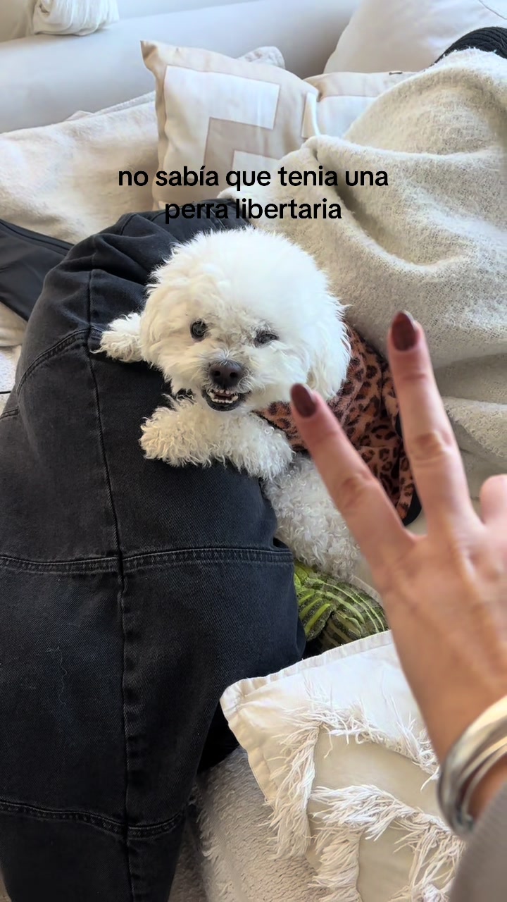 @Moregarzon