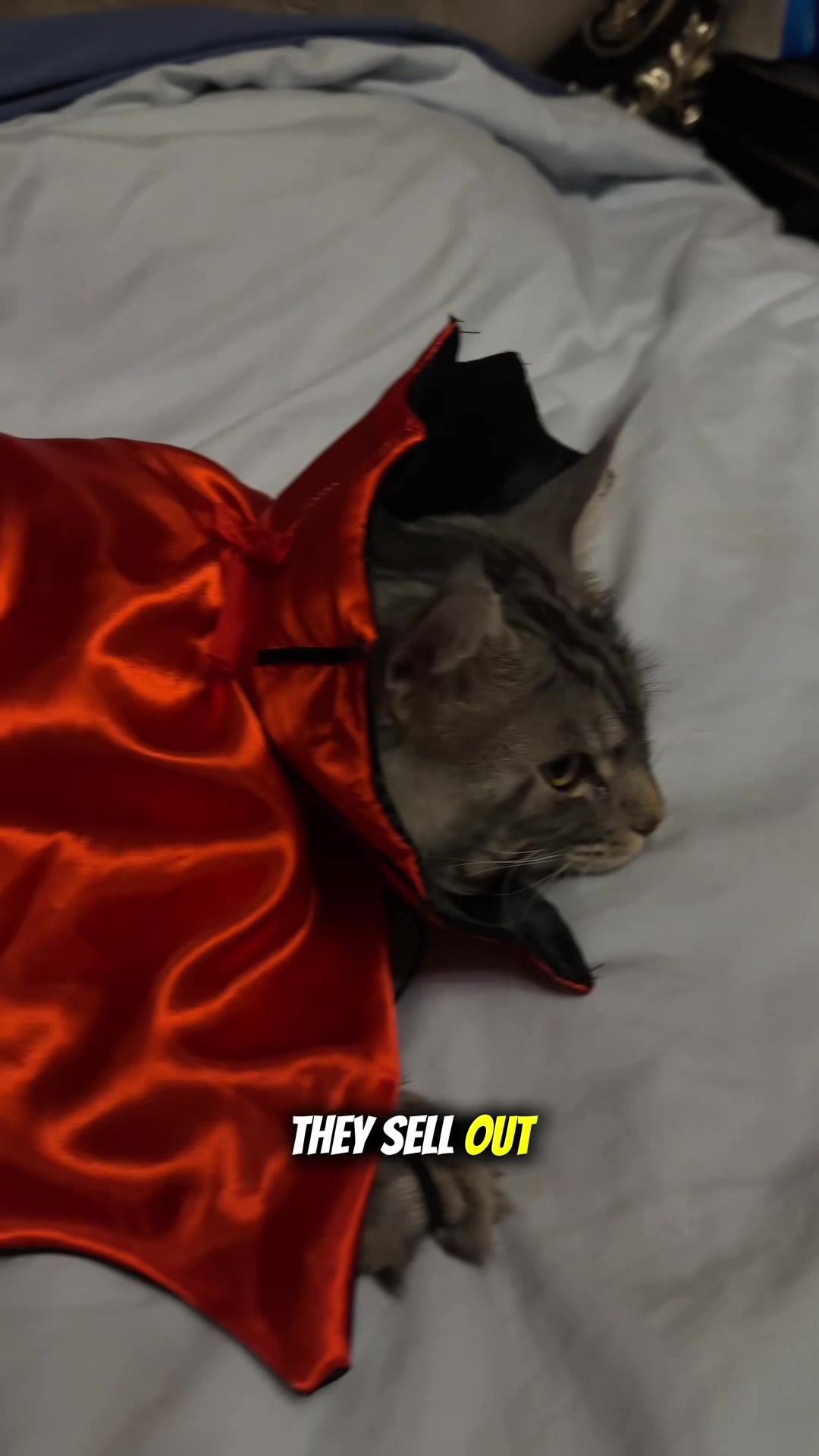 @SpookyBox