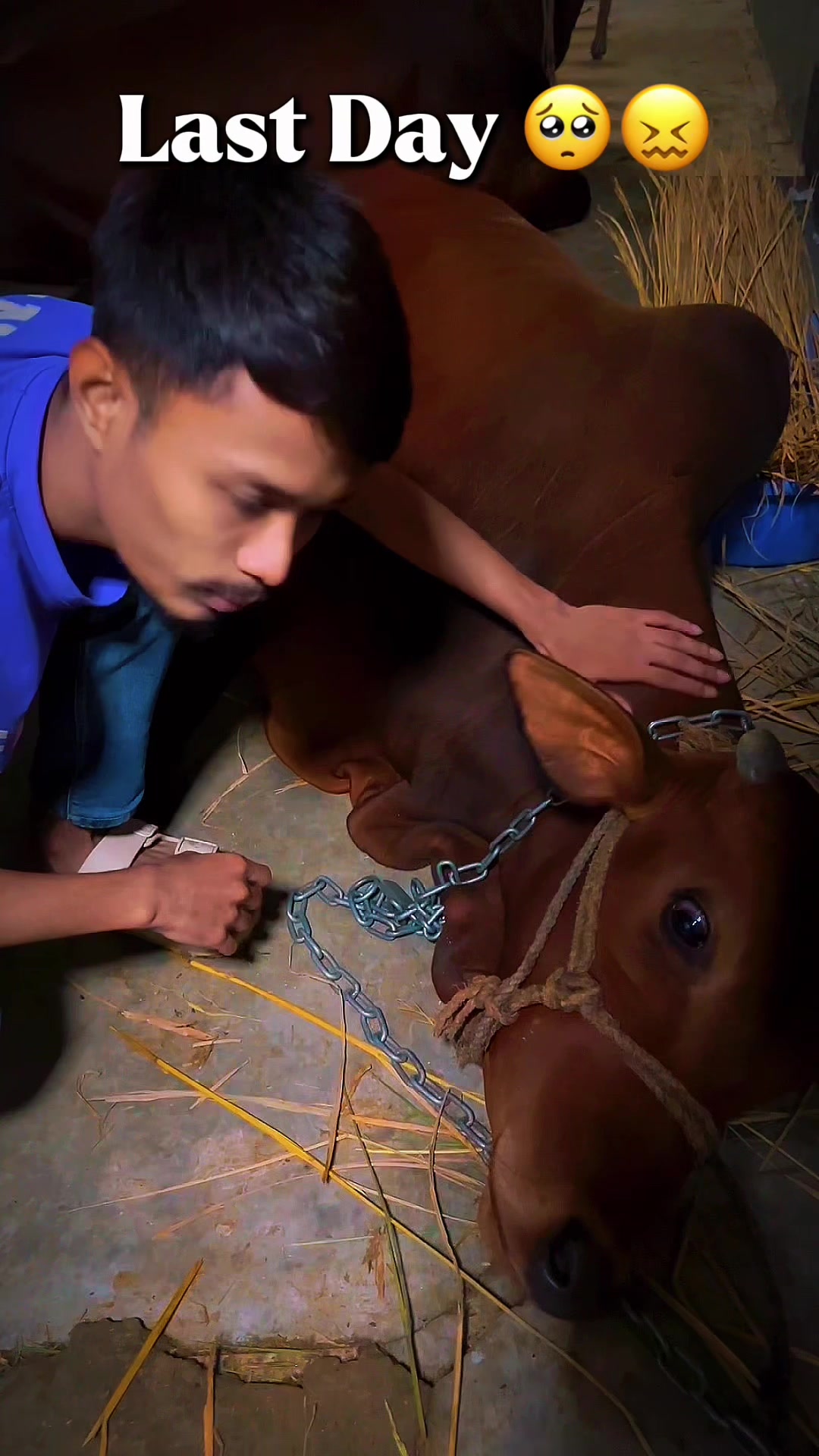 @MD IBRAHIM HOSSAIN đĨ