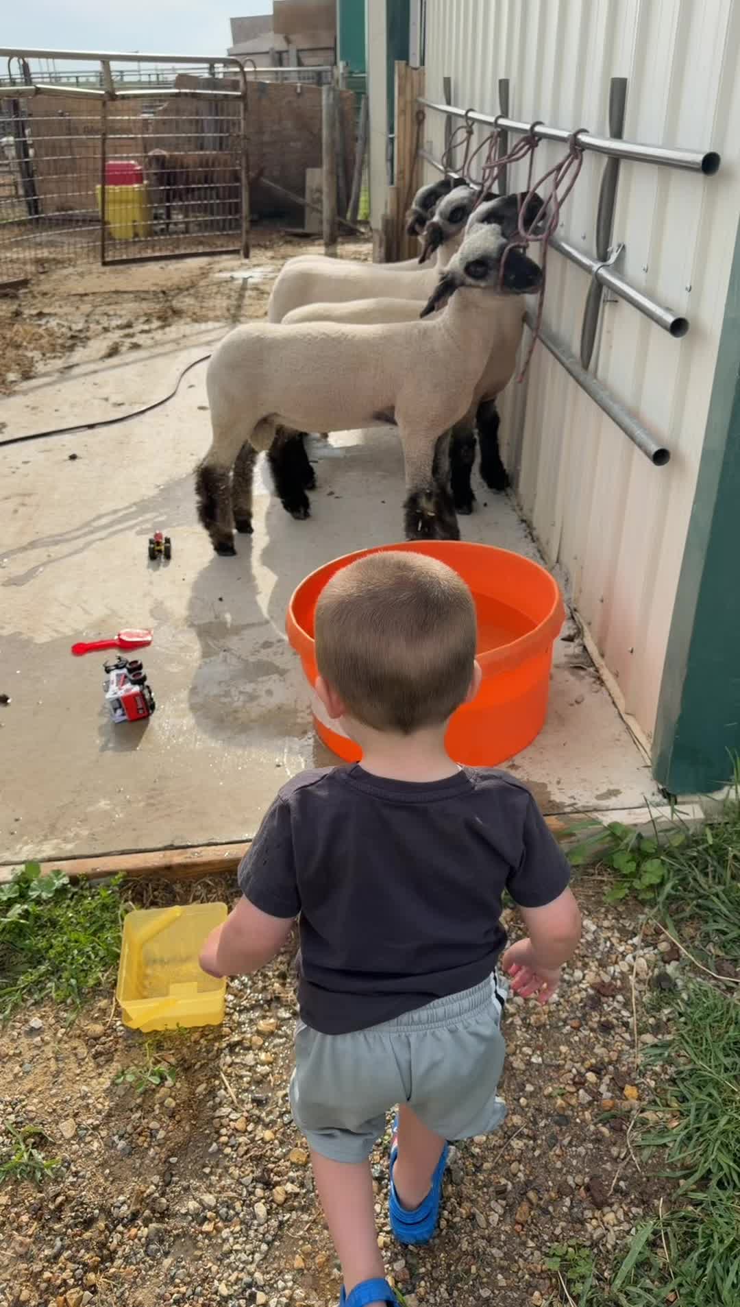 @ET Livestock