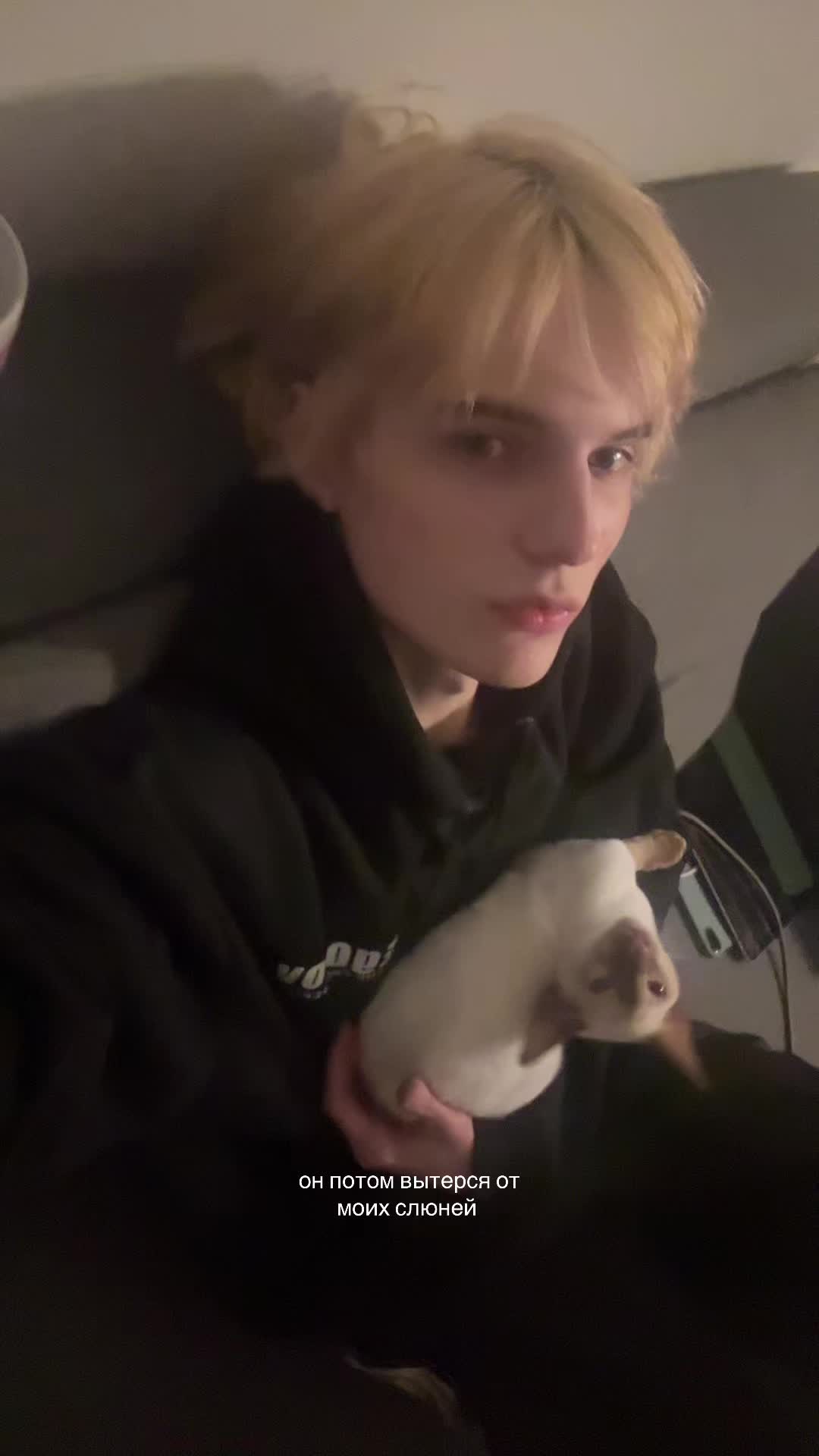 @миш дигримис