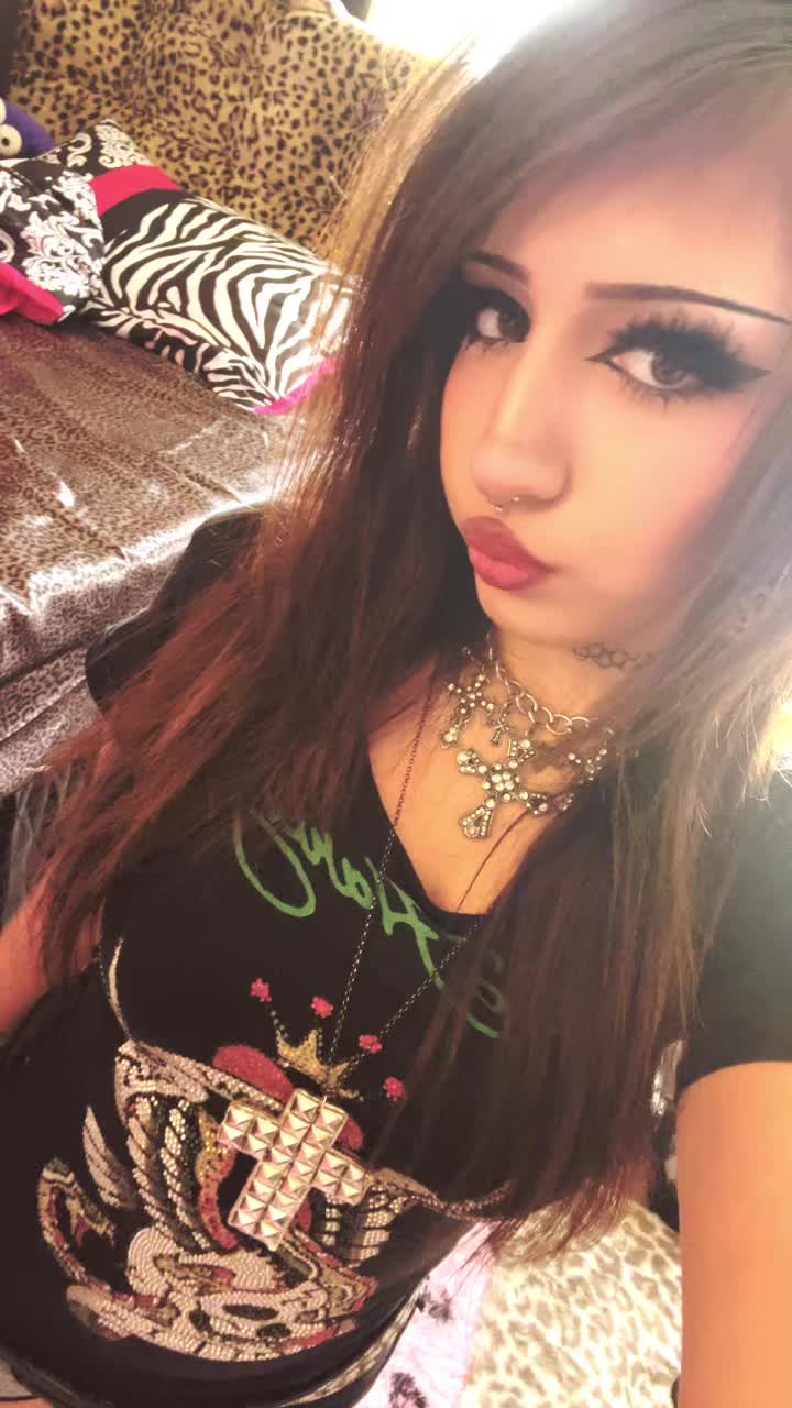 @meow :3