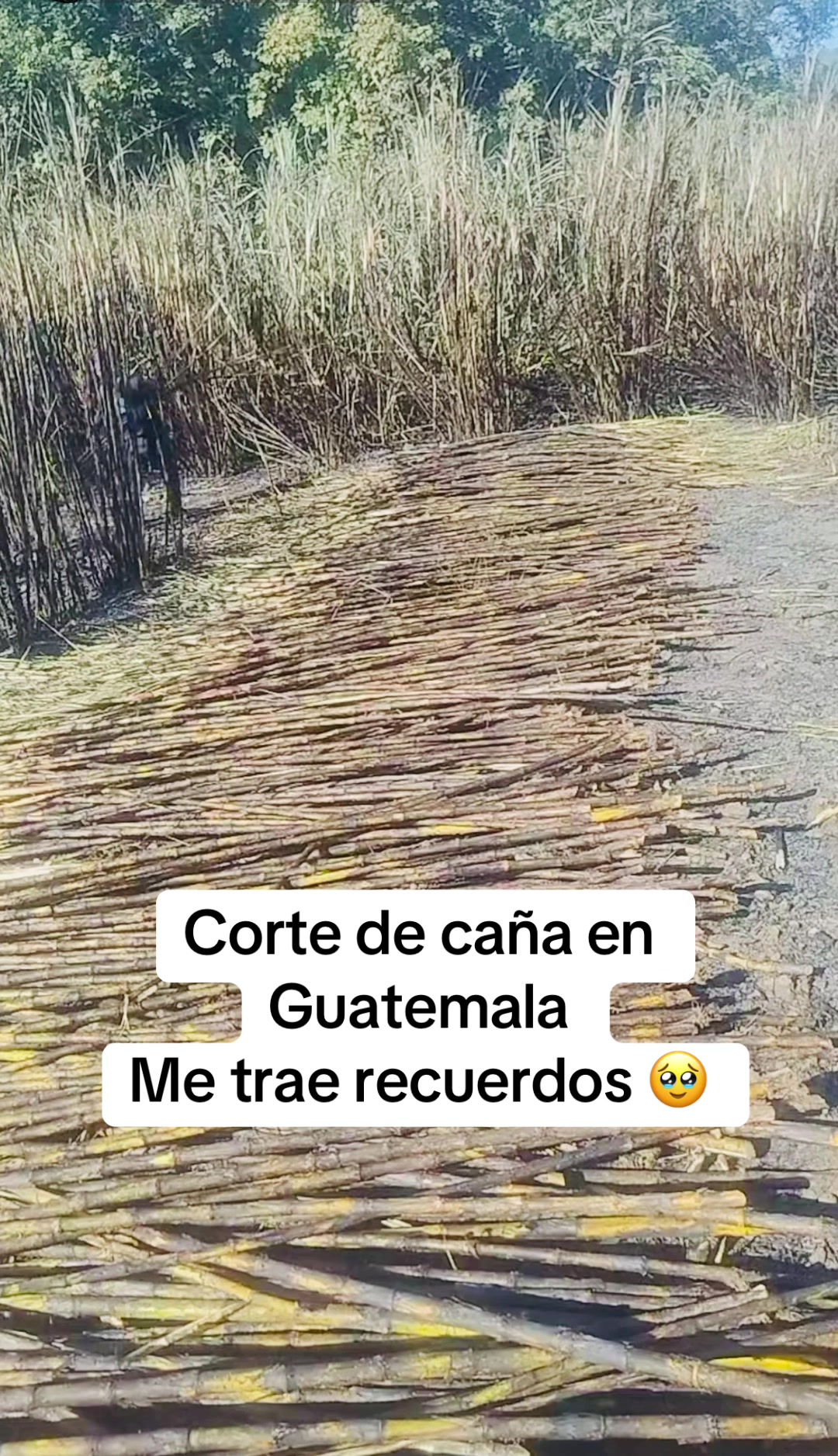 @huguito._gt