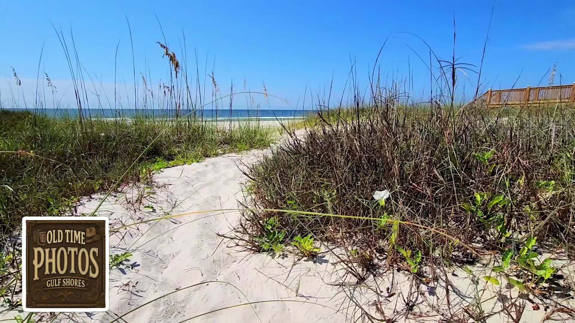 @OldTimePhotoGulfShores