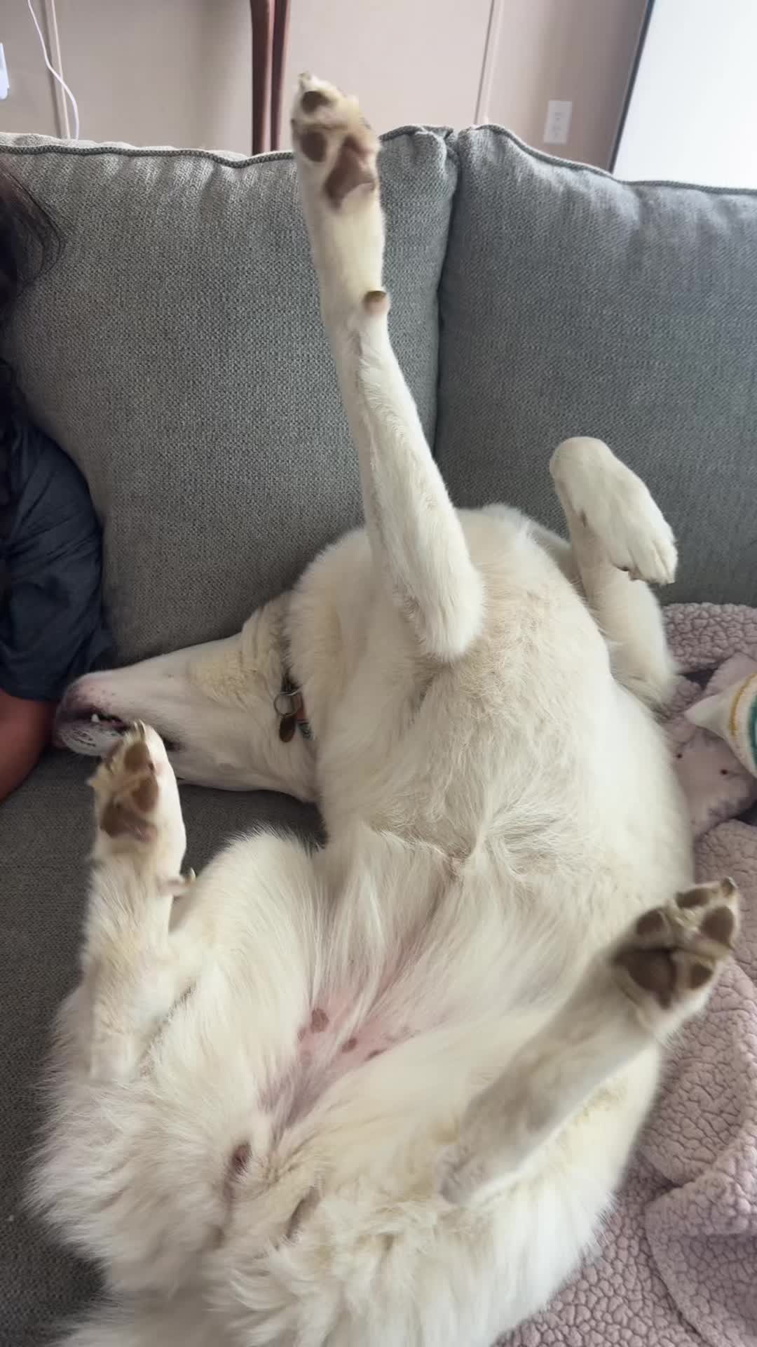 @✪