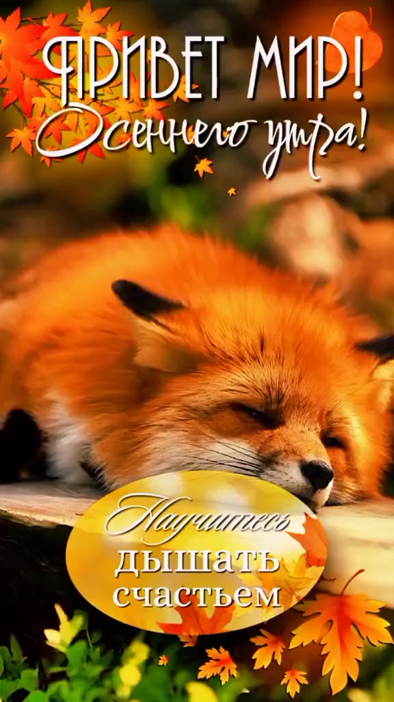@Марина 🌹🍃