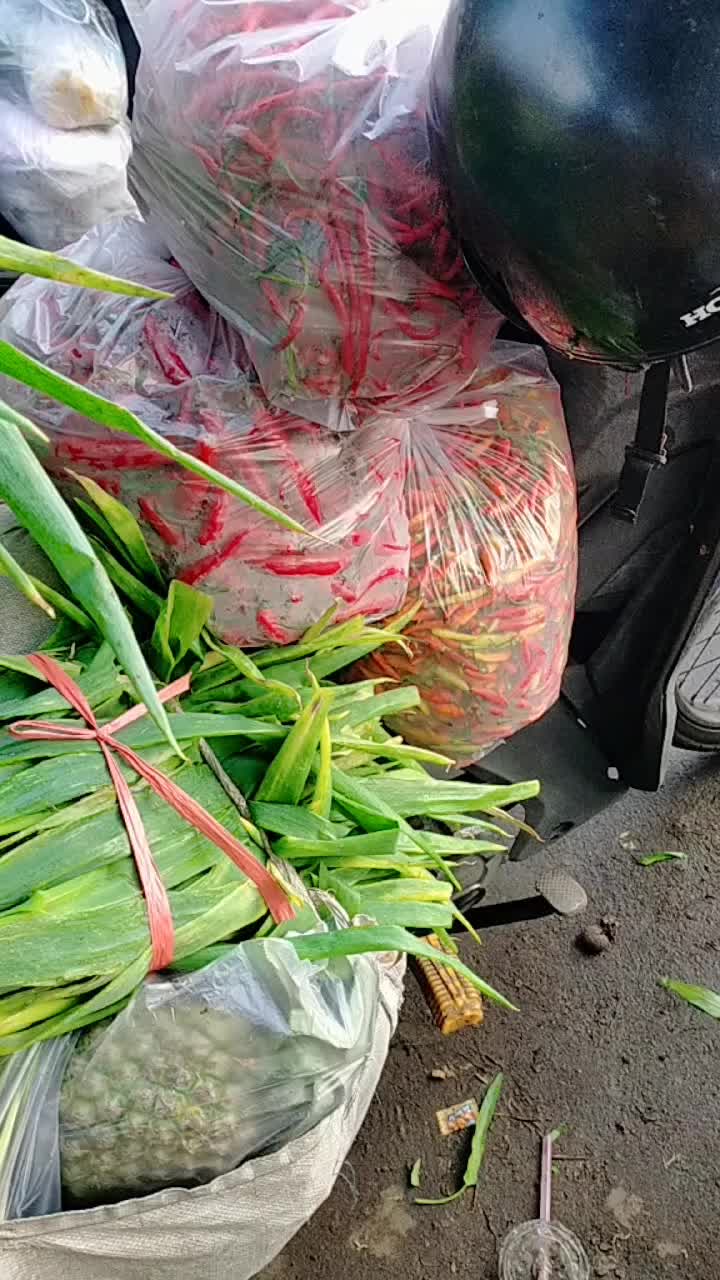 @Hs Sayur