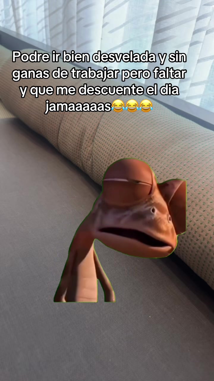 @Guille Mendoza14