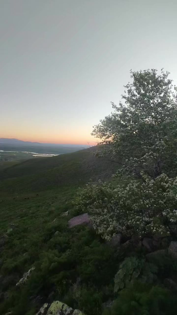 @MUŞLU๛BIRHAN