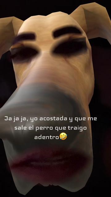 @Elvagonzalezz