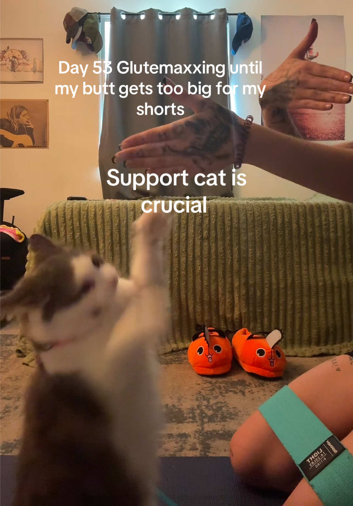 @🐈⬛
