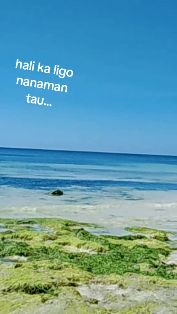 @tubongbisaya