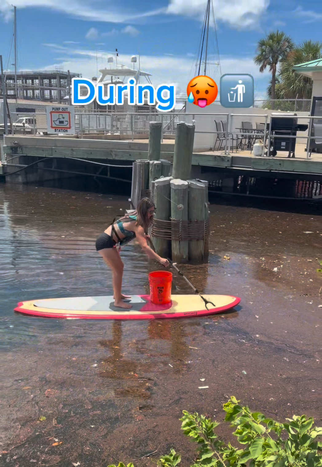 @Sailing the Pawsibilities