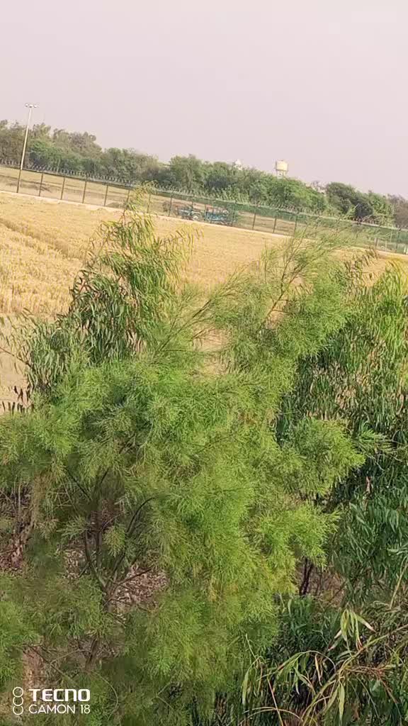 @میرا سونا پنڈ 4 گجیانی