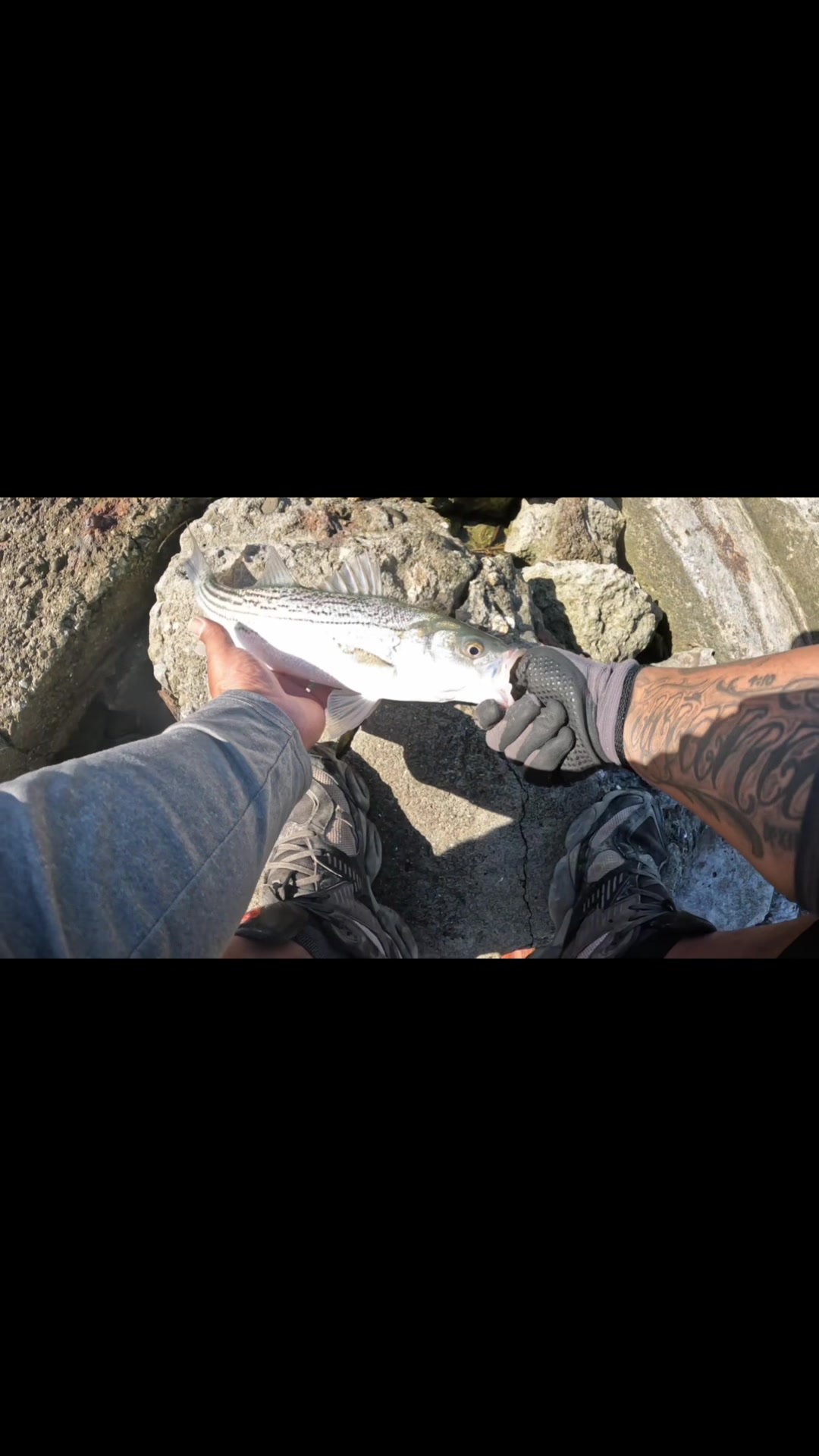 @Justfishnn510