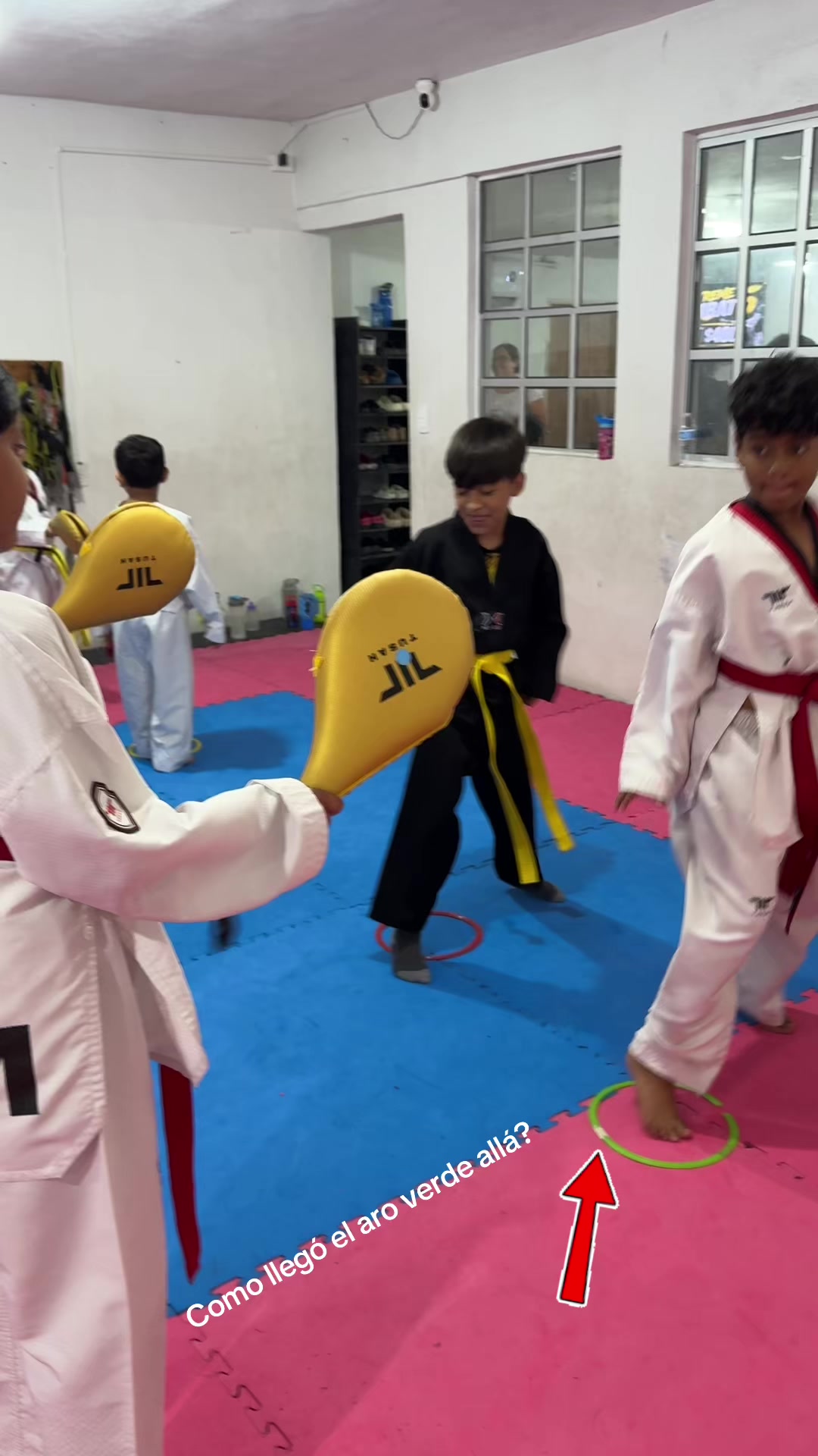 @taekwondolionsteam
