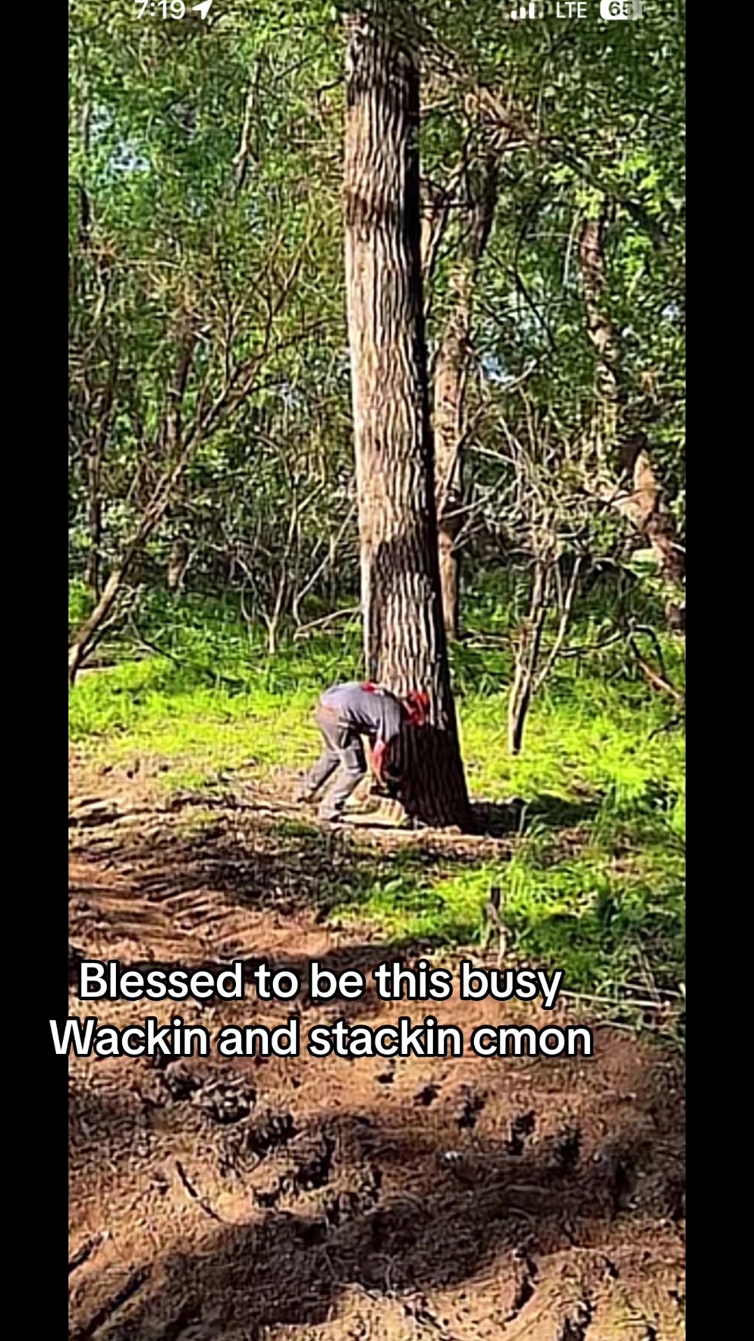 @treecutterjake