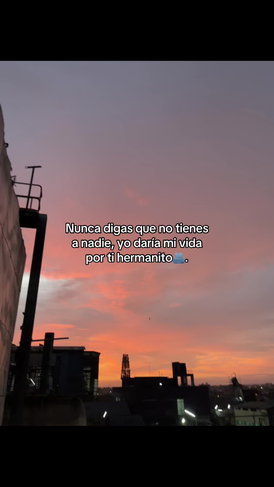 @Y E S E N I A🦋