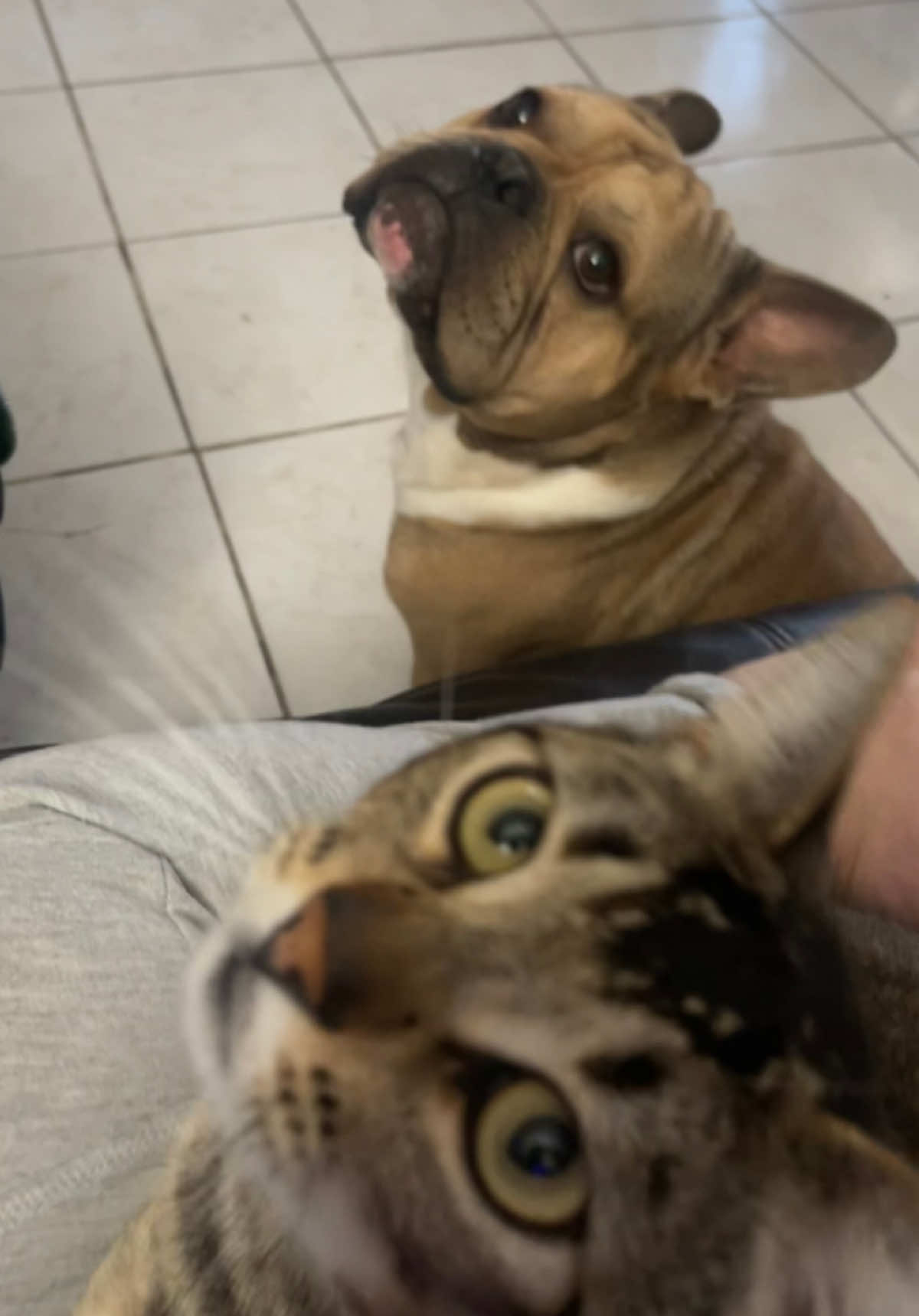 @🐾🐾🐾