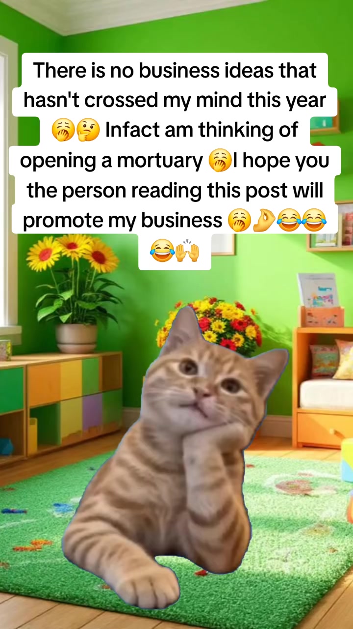 @Miss Vibez ๐ค๐๐