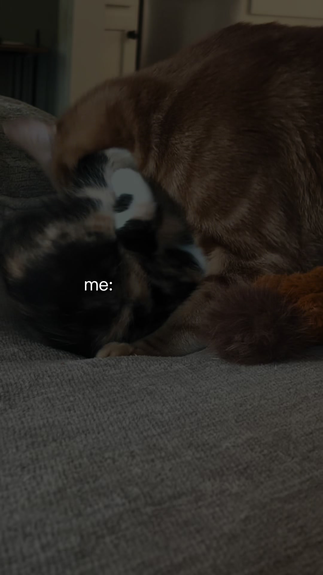@Misty