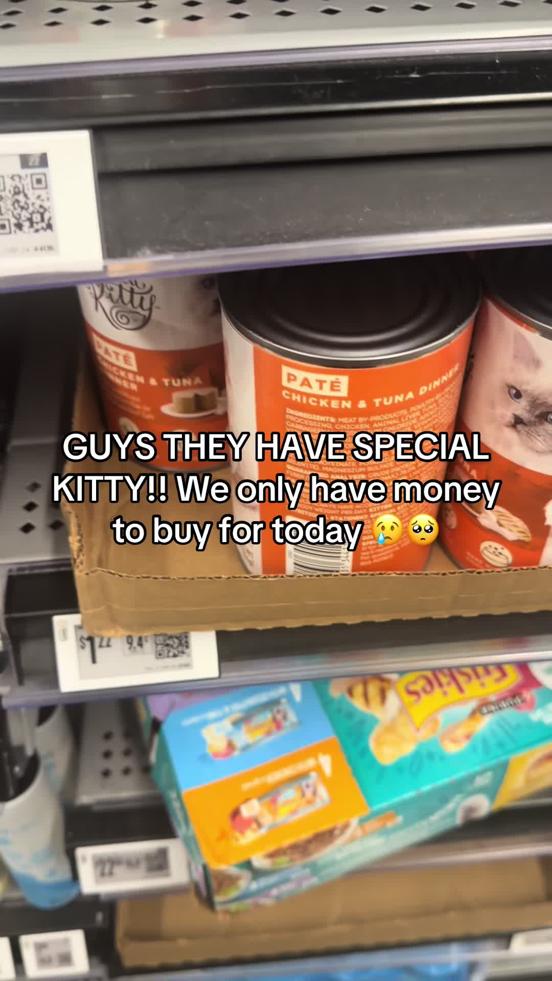 @Purrrrfect Paws Rescue