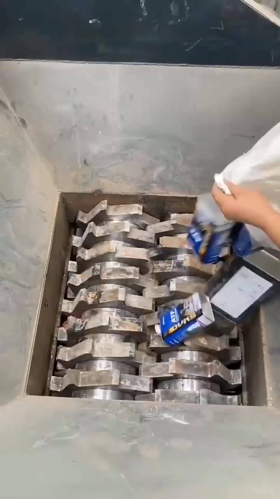 @Cunning.Kohen