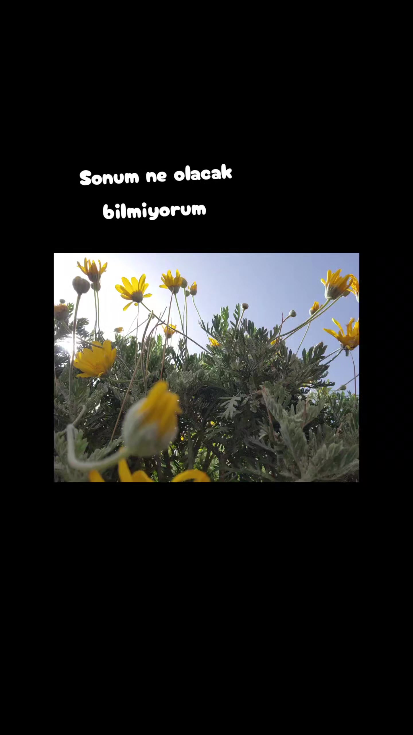 @🍀sevinccim🍀