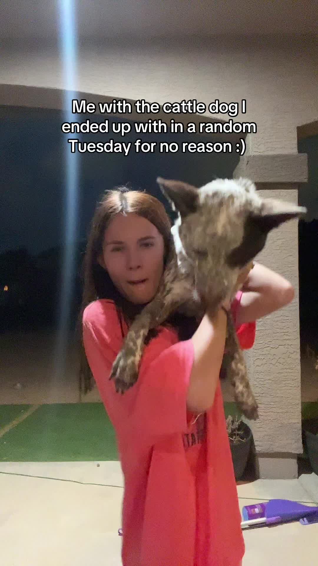 @Bella🦆🪶