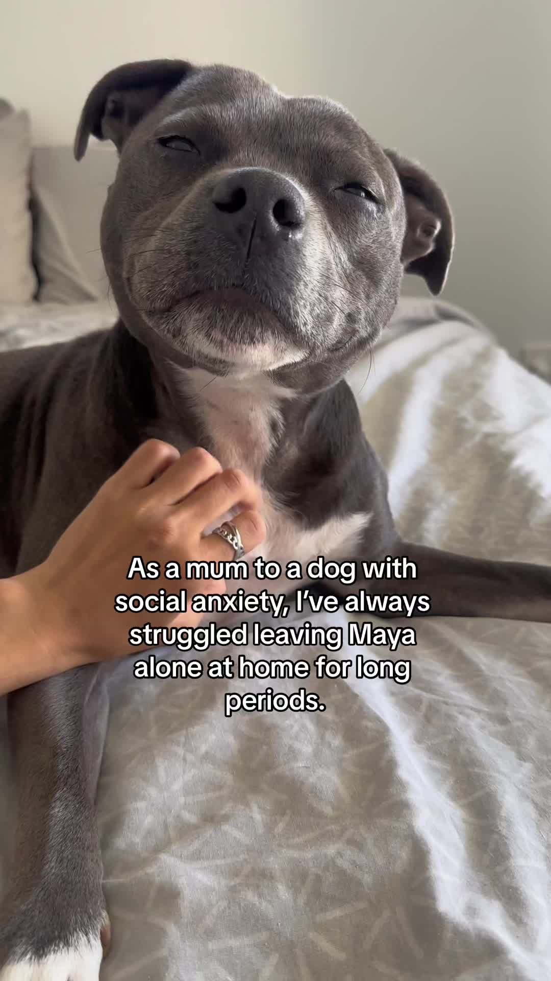 @maya.thebluestaffy