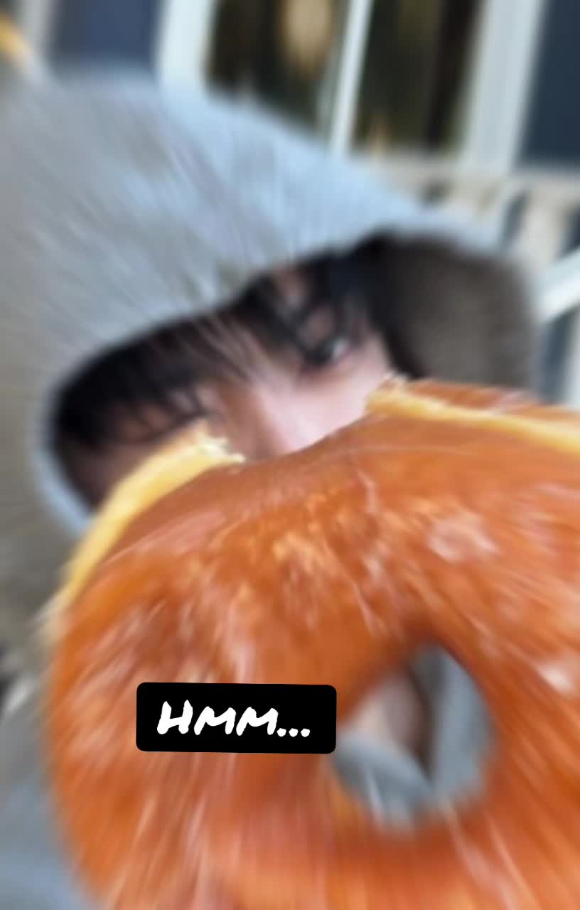 @꧁✩•¢нα¢нα⁶•✩꧂✨️🏴☠️