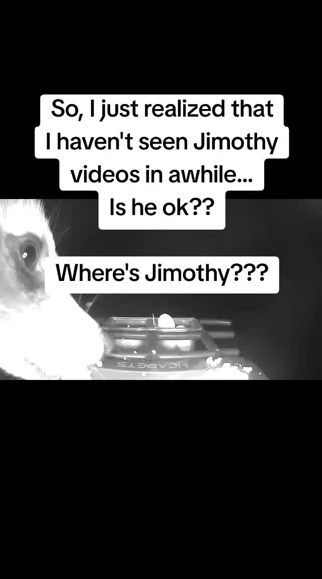 @kindaputtogether
