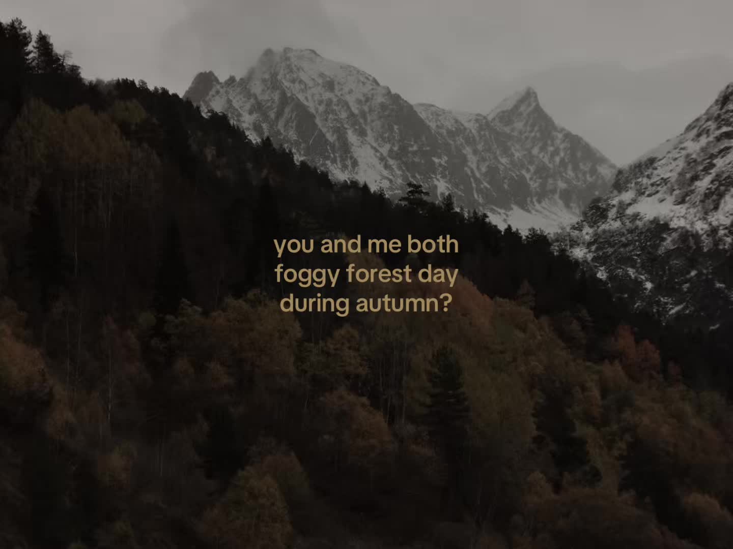 @feelingverycold