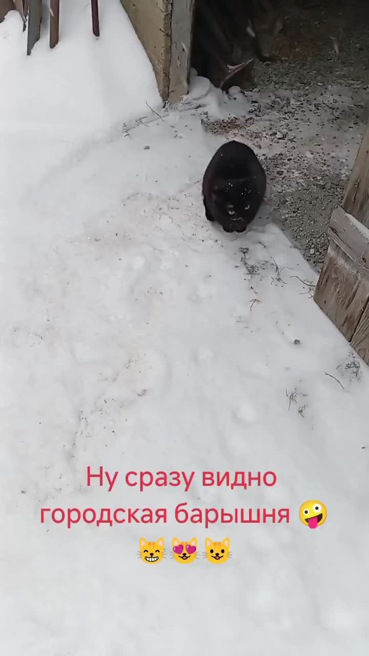 @Ольга
