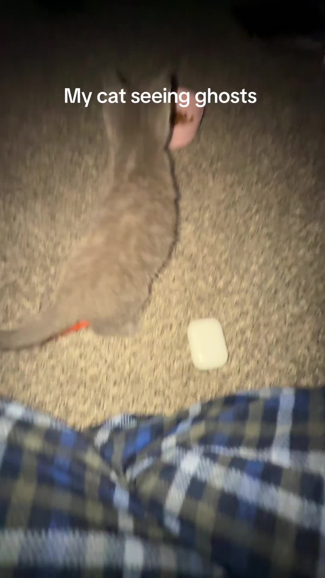 @prestonsalright