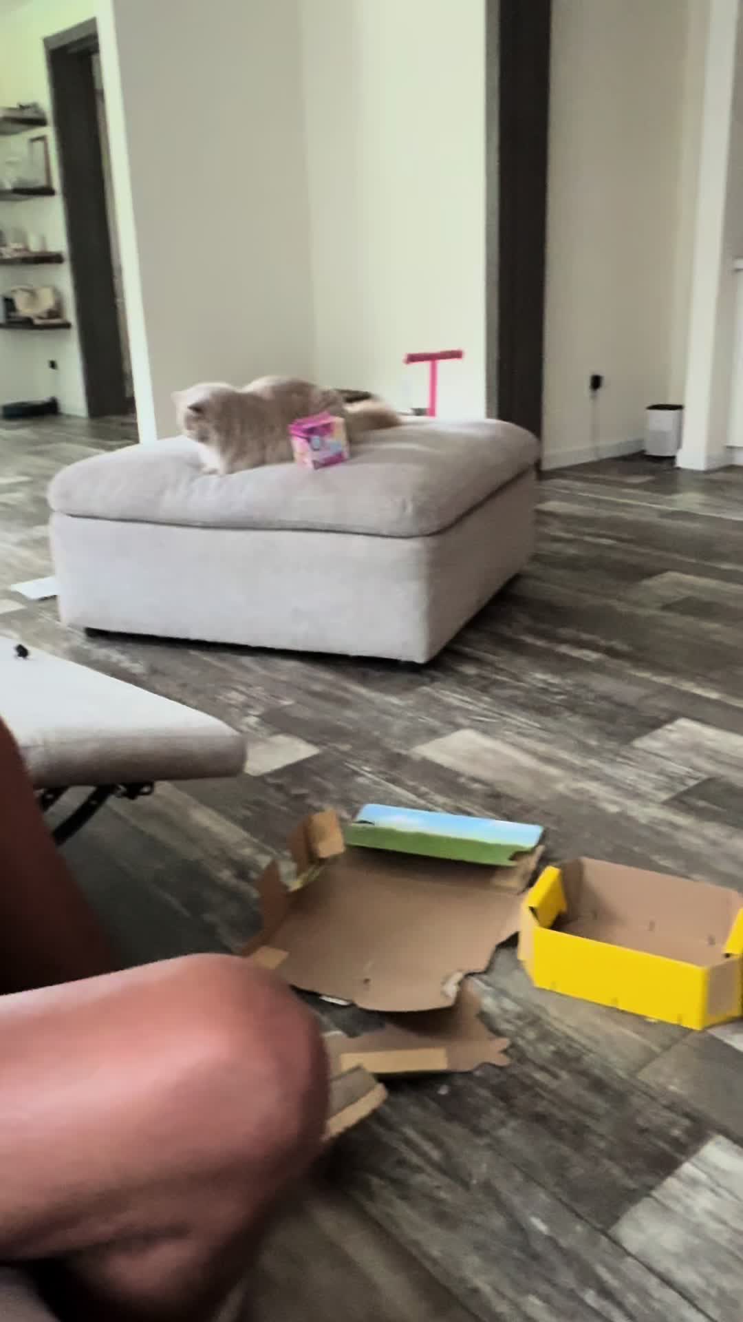@Jillian Wright | Working Mom