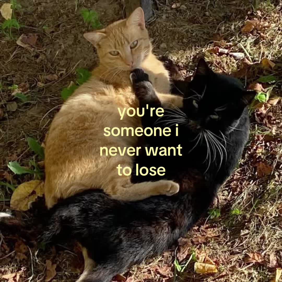 @motionsoflove