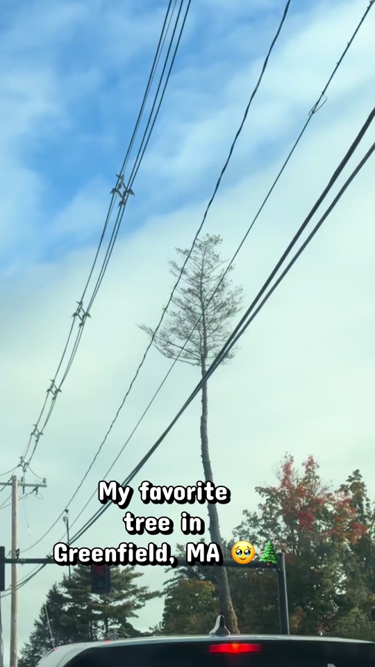 @Sunshine