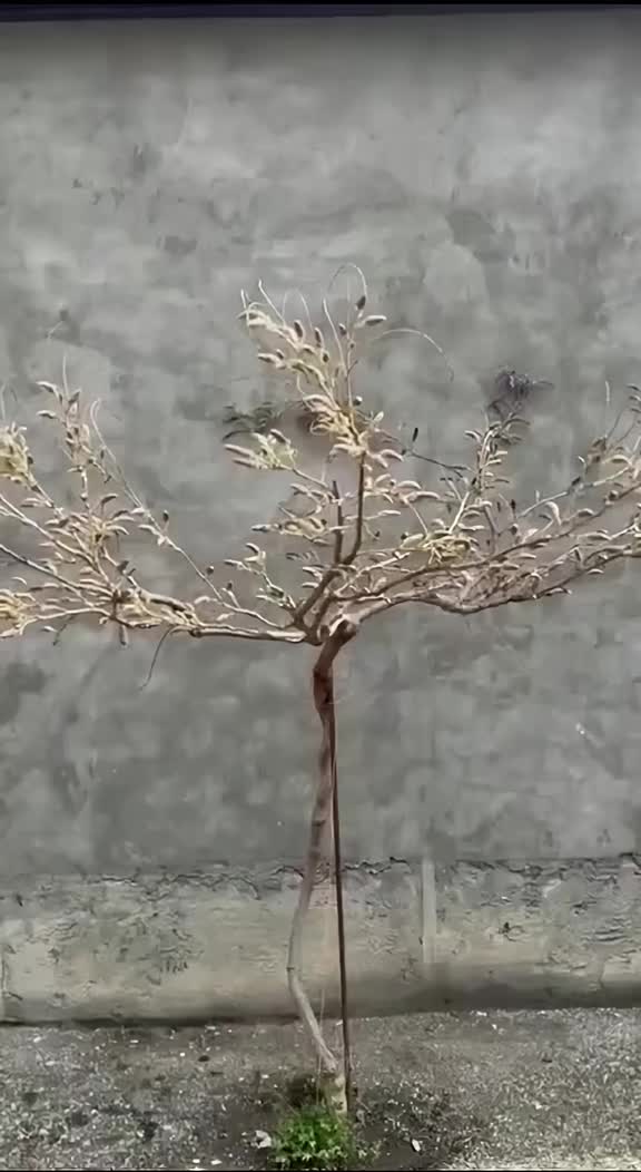 @ЦВЕТОЧНИЦА 𝕽𝖞𝖟𝖎𝖓𝖆