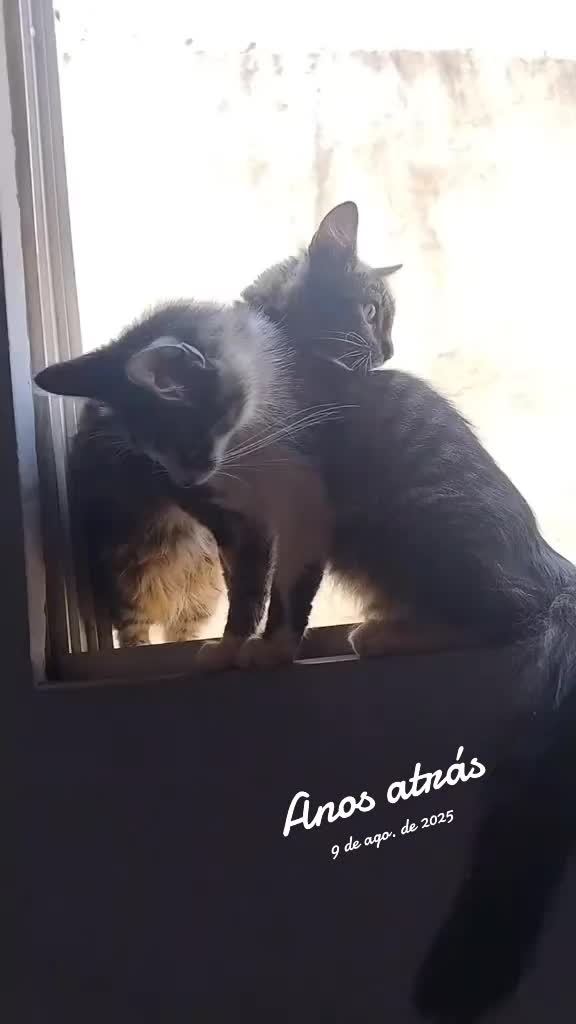 @Cintinha Vá para a luz