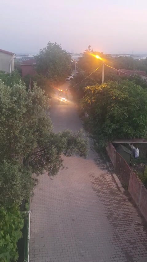 @poyraz berdibek