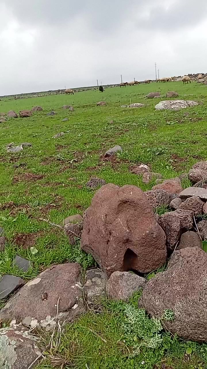 @MEMOLİ 82 21