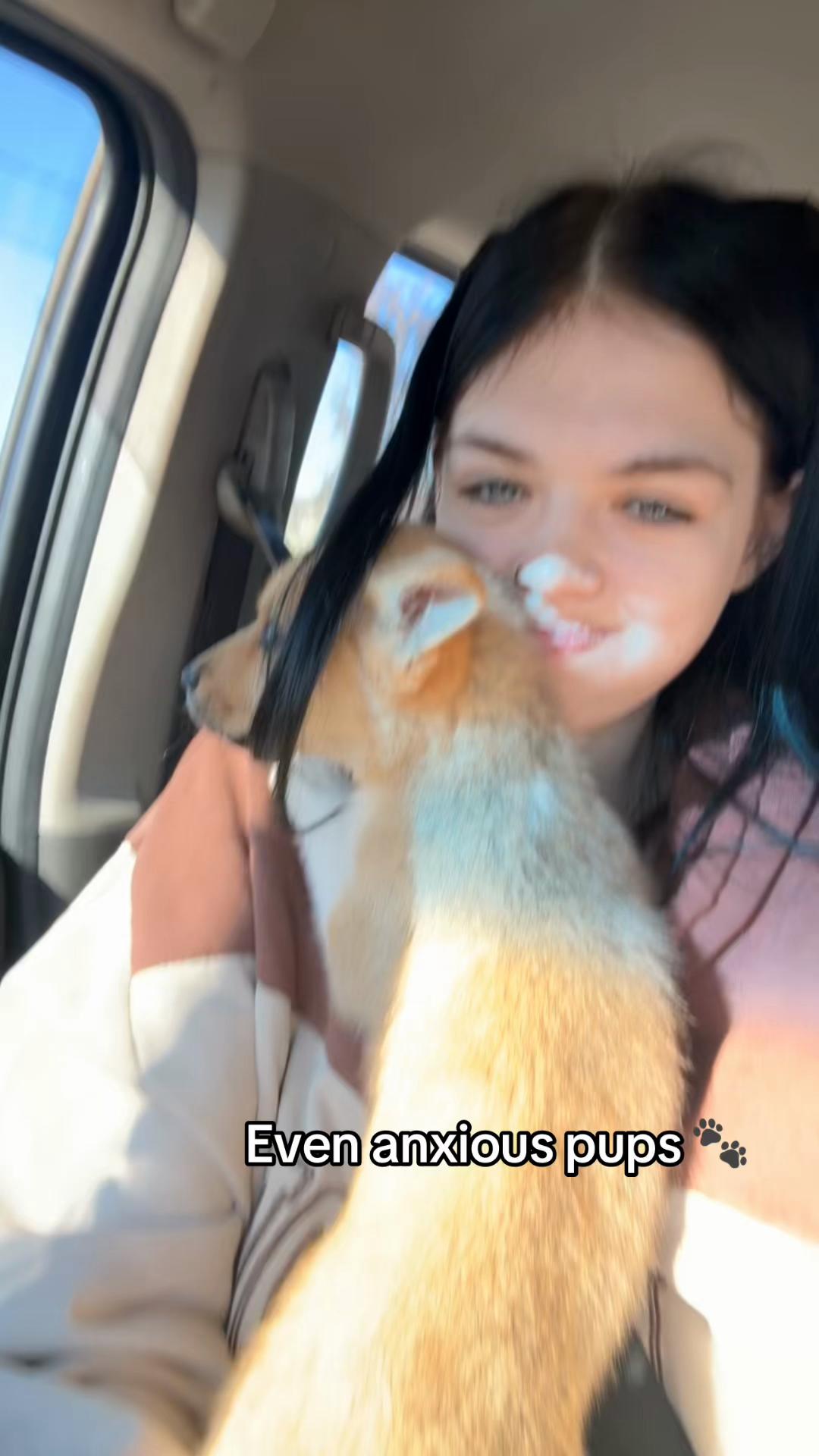 @Dani x
