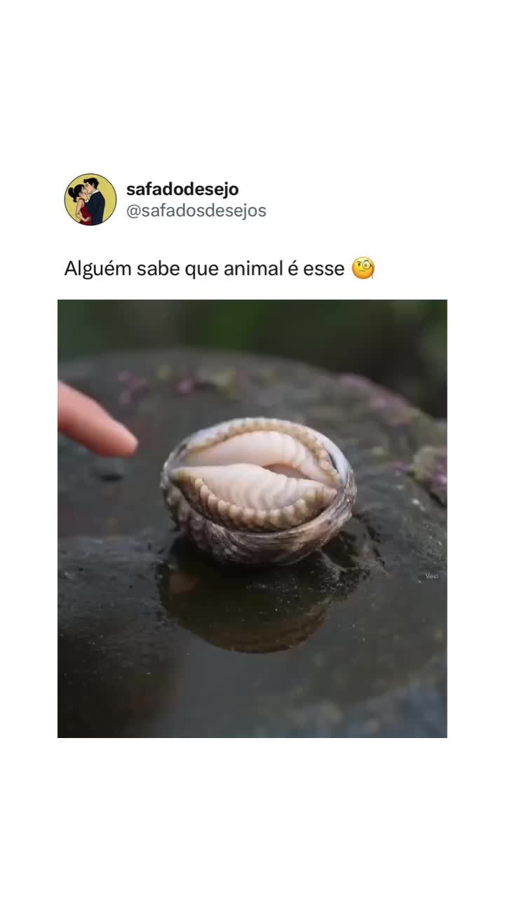 @SAFADODESEJO 🌶