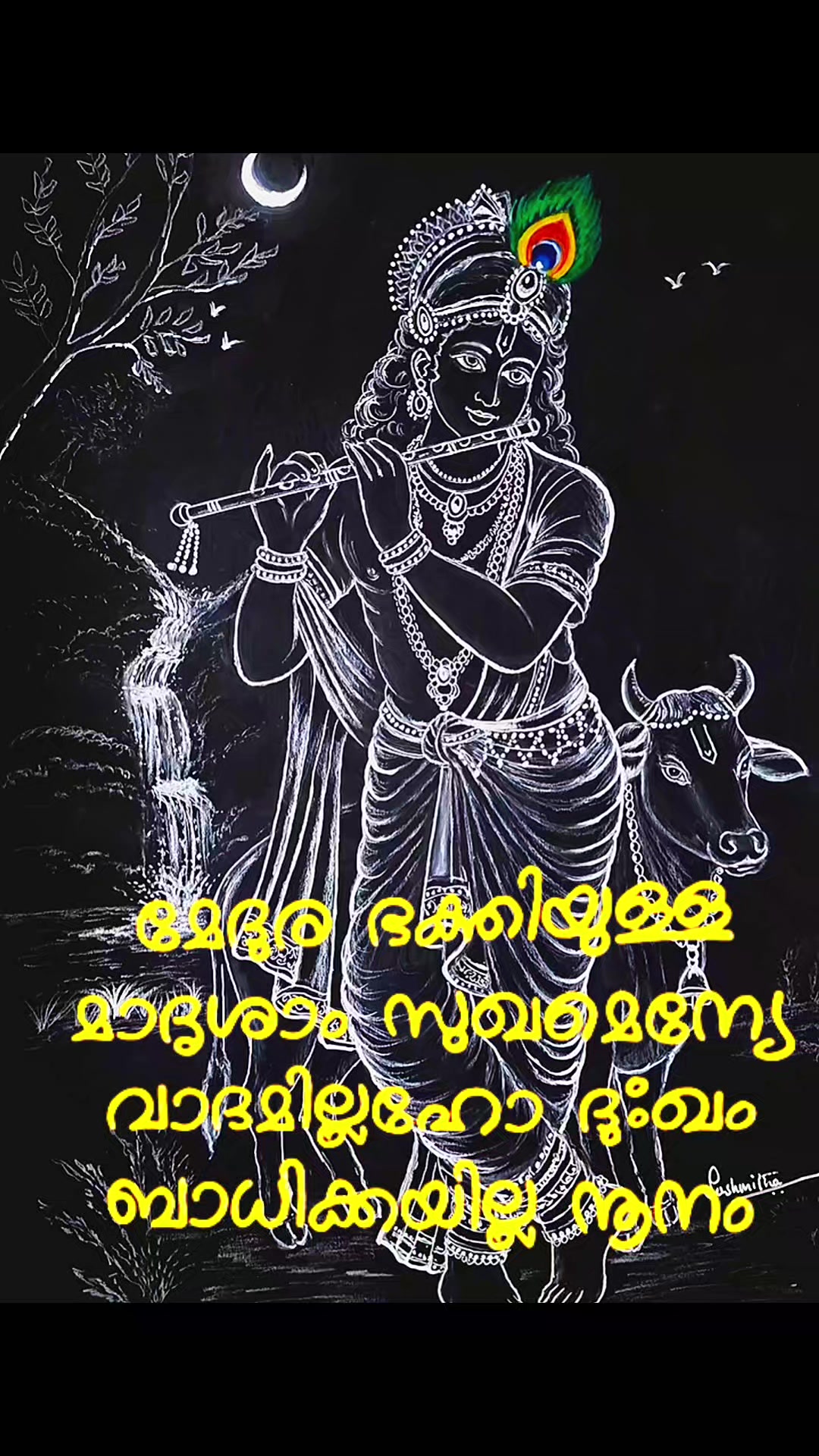 @q8mallu20